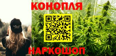 шишки Малгобек