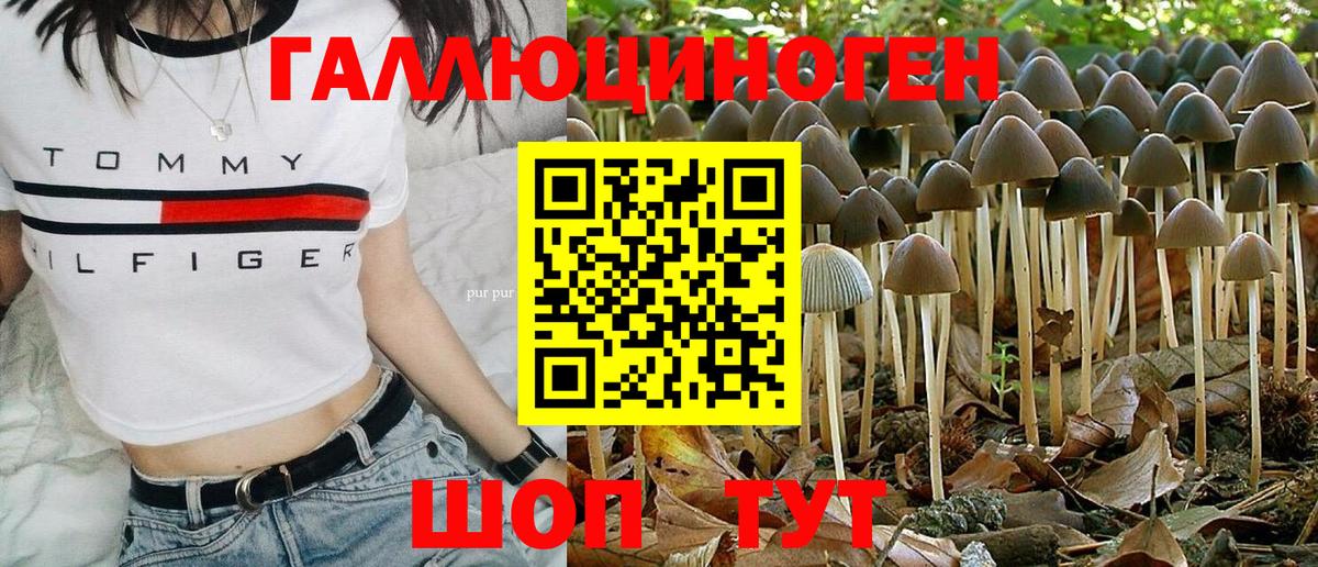 Шелехов  Галлюциногенные грибы MAGIC MUSHROOMS  Псилоцибиновые грибы прущие грибы  Вход с VPN 